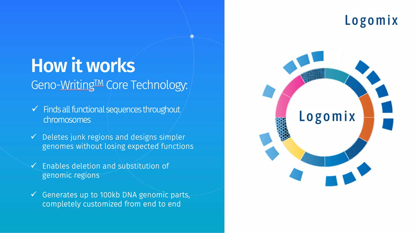 Logomix: Investor Deck - Cari Irwin